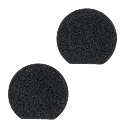 Motronic 日立に適合 掃除機パーツ スポンジフィルター PV-BH900J-010 消耗品 非純正品【2枚入り】